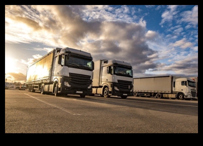 Comercianți mobili: valorificarea potențialului de afaceri în mișcare cu vehicule comerciale