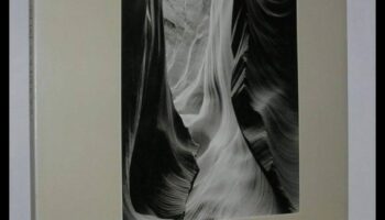 Visual Symphony: Elemente de armonizare pentru îmbunătățirea uimitoare a fotografiilor